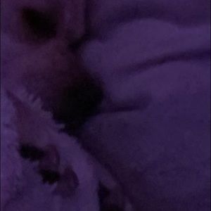 Meet your Posher, Brianna